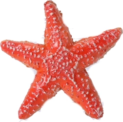 Gyűjtői tengeri csillag figura, Papo