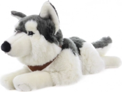 Plüss fekvő husky pórázokkal 60 cm