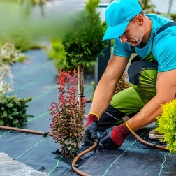 Agrotextília 90 g/m² 1,6 × 50 m fekete UV – szövött, gyomcsökkentő mulcs szőnyeg