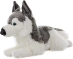 Plüss husky 43 cm