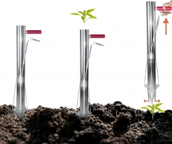 Kézi rozsadírozó hagymákhoz és palántákhoz rozsdamentes acélból