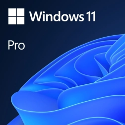 OEM Windows 11 Pro ENG x64 DVD