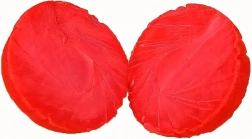 Tartós gumilabda kutyáknak, 6 cm