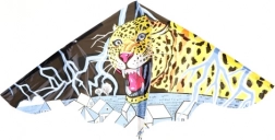 Gyerek sárkány 115 × 72 cm