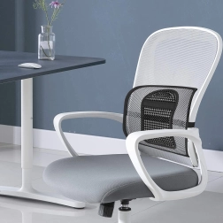 Ortopédiai hát támasz