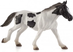 Mojo Ír tinker éves csikó