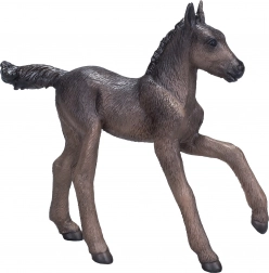 Mojo Arab telivér csikó fekete