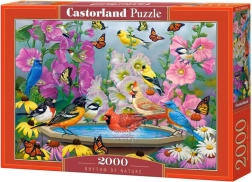 Rhythm of Nature 2000 darabos puzzle