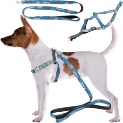 Állítható hám pórázzal kutyáknak és macskáknak – kényelmes szett