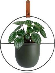 Zöld fém függő virágcserép-tartó Home Styling Collection 30 × 30 cm