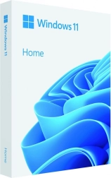 Windows 11 Home 64bit USB Flash Drive