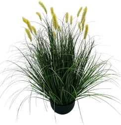 Mű Pennisetum díszfű cserépben, sárga, 70 cm