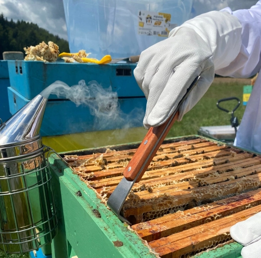 Tartós rozsdamentes acél penge