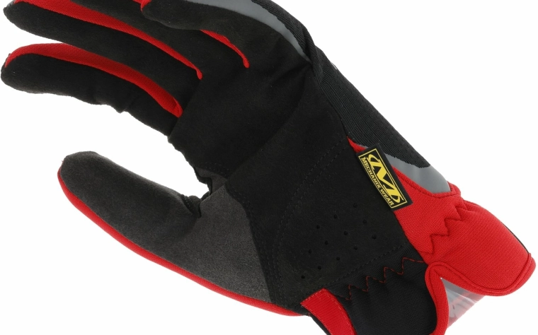 Anatómiai tenyér és megerősített zónák