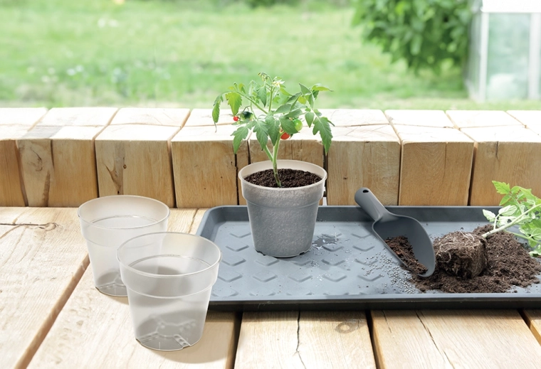 Az egészséges növekedés támogatása