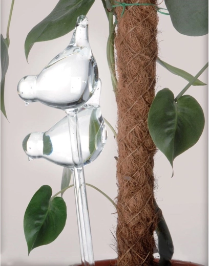 Egyszerű telepítés bármelyik virágcserépbe