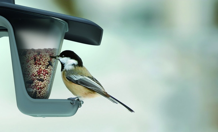 Szárazon maradó eledel a ferde tetőnek köszönhetően
