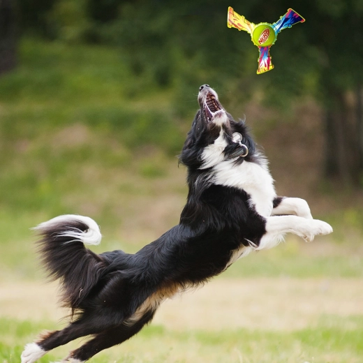 Szórakoztató kültéri játék és apport