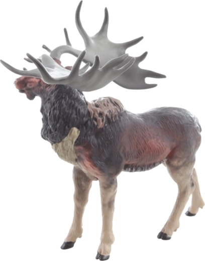 Stabil állás és biztonságos méretek