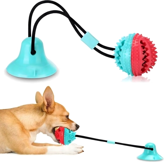 Fogtisztítás és ínymasszázs