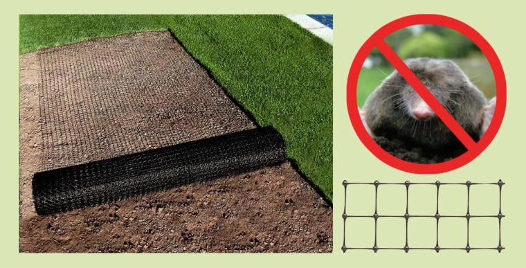 Hatékony gát a vakondok ellen