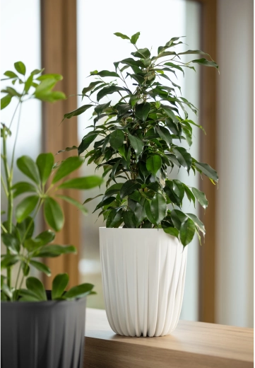 Könnyű, tartós és kültérre kész