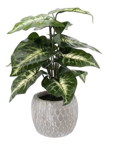 Karbantartásmentes, egész éves dekoráció