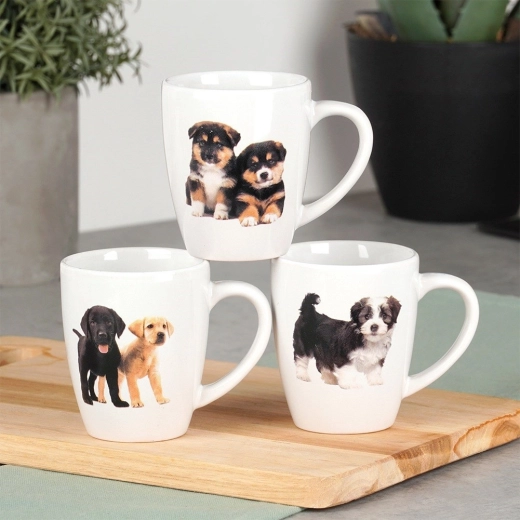 Gondtalan karbantartás: mosogatógép és mikrohullámú sütő