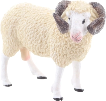 Ideális méret kis kezekhez