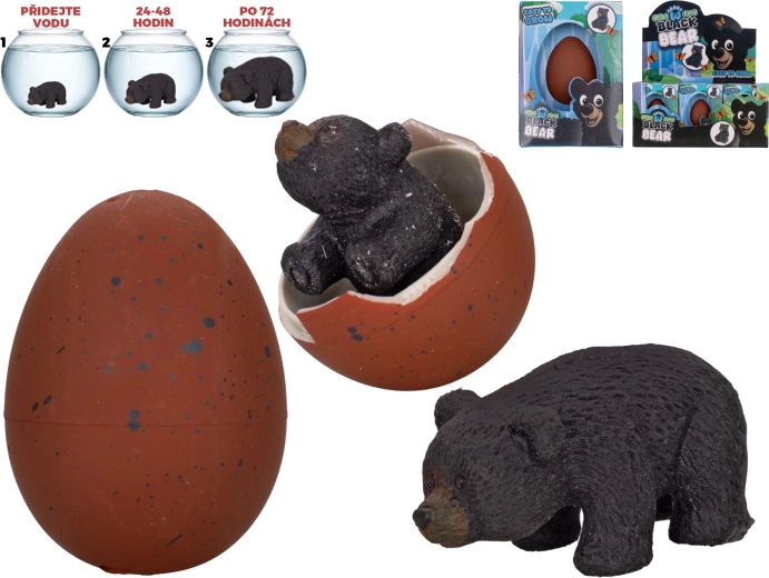 Kelő és növekvő fekete medve – interaktív vízbe tehető tojás