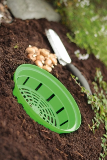 Könnyű kiemelés és átültetés