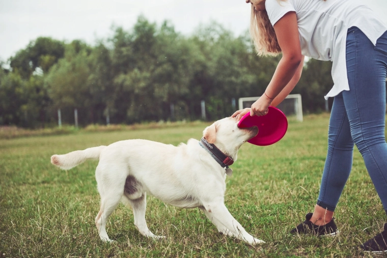Magas láthatóság a parkban és a levegőben