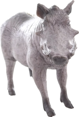 Ideális tanuláshoz és gyűjtéshez