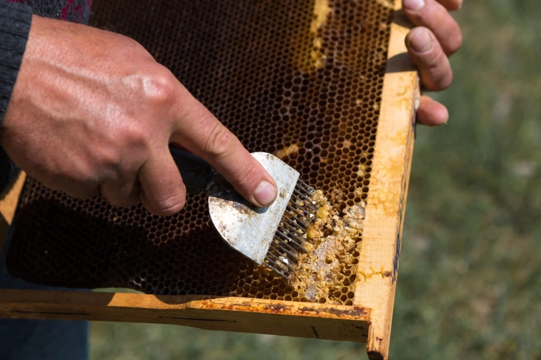 Precíz rozsdamentes tüskék a tiszta fedelezéshez