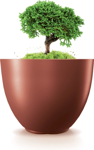 Ideális szobanövényekhez és kültéri növényekhez