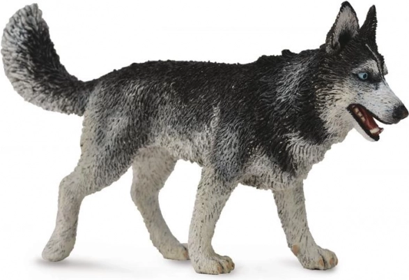 Collecta szibériai husky – figura