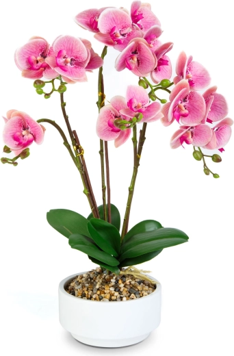 Az orchidea realisztikus megjelenése
