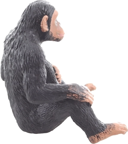 Remek az oktatáshoz és a kreativitáshoz