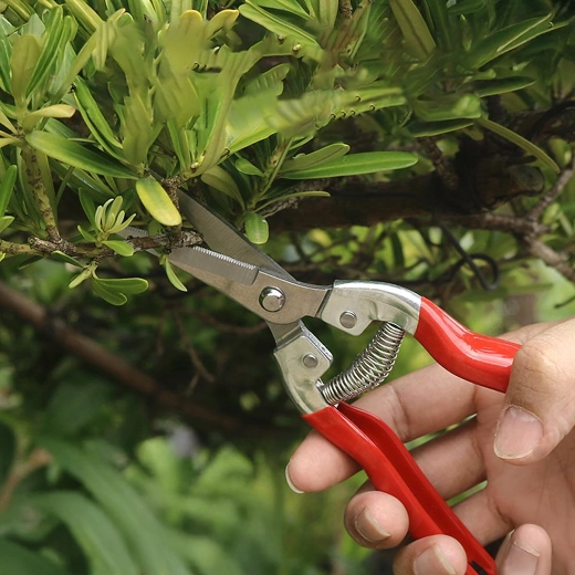 Rugós mechanizmus a könnyű vágáshoz