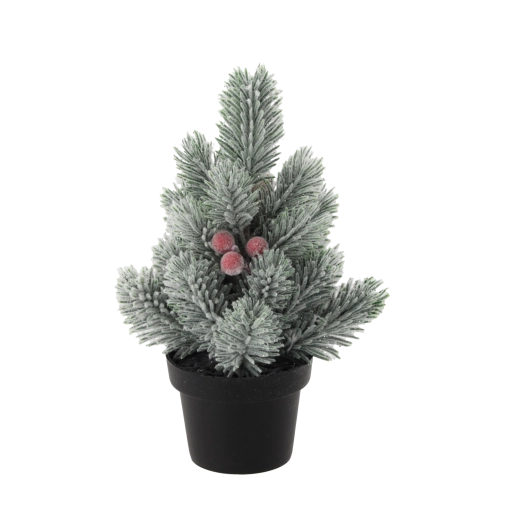 Élethű tűlevelek téli hatással