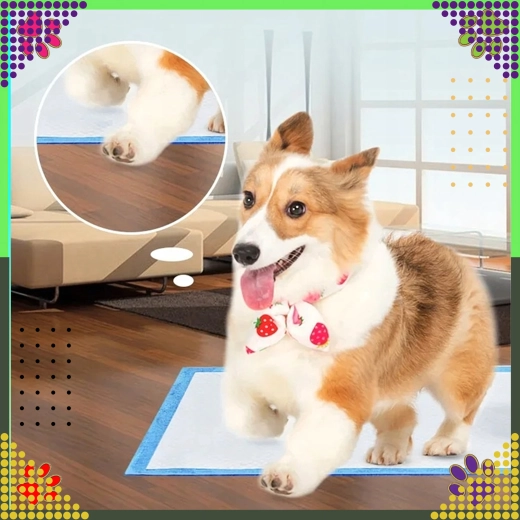 Nagy formátum a kényelemért és biztonságért