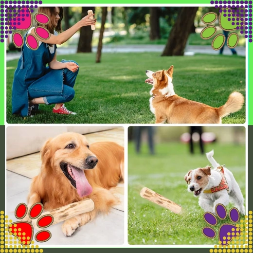 Szórakozás rágáshoz és apporthoz