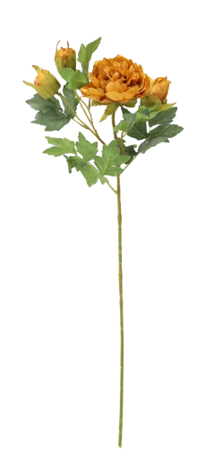 Rugalmas szár a rendezéshez