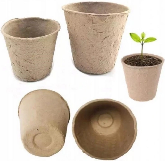 Egészséges gyökérrendszer