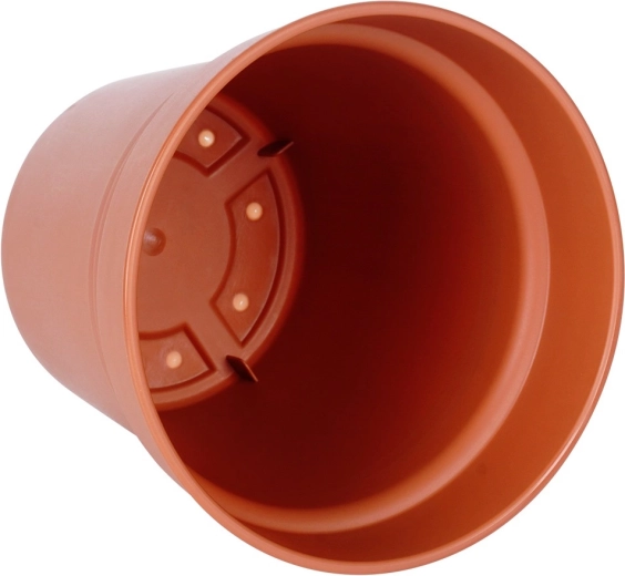 Átgondolt forma az egészséges növényekért