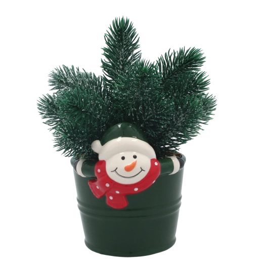 Élethű téli megjelenés ápolás nélkül