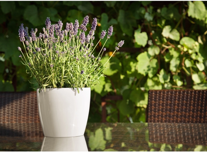 Beltérre és kültérre egyaránt alkalmas