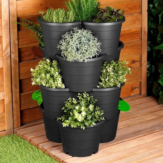 Drén a egészséges gyökerekért