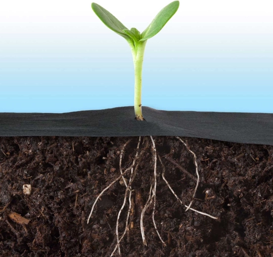 Lélegző és vízáteresztő az egészséges gyökerekért