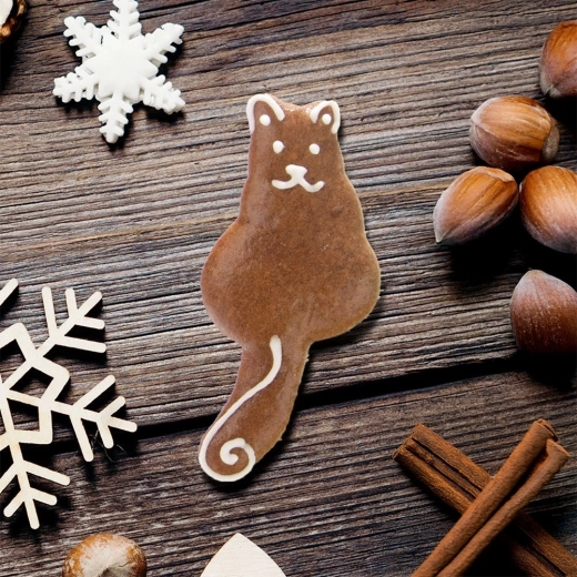 Kreatív díszítés ünnepekre és egész évben